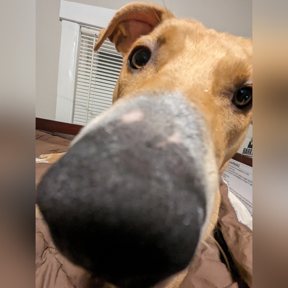 Guess Jacket - Picture 6 of 6